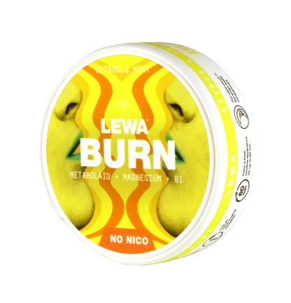 LEWA BURN CITRUS MINT ENERGY POUCHES